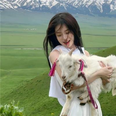 妖怪图鉴